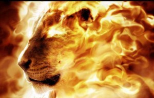 fire-lion