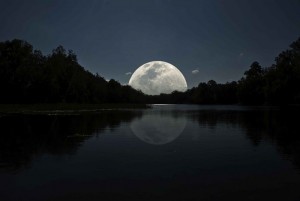 large_moonlight